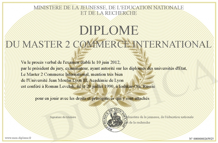 lyon 3 diplome universitaire